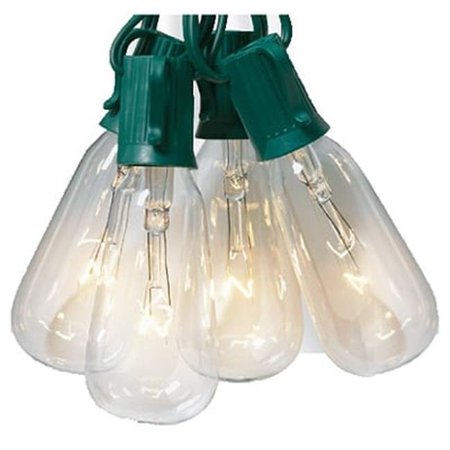 NOMA INLITEN Noma Inliten V51587 10 Count Elongated ST40 Edison Bulb Style Light Set; Clear 168493